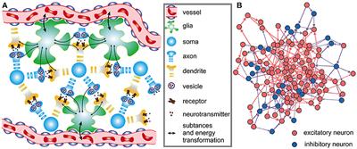 Constraints of Metabolic Energy on the Number of Synaptic Connections of Neurons and the Density of Neuronal Networks